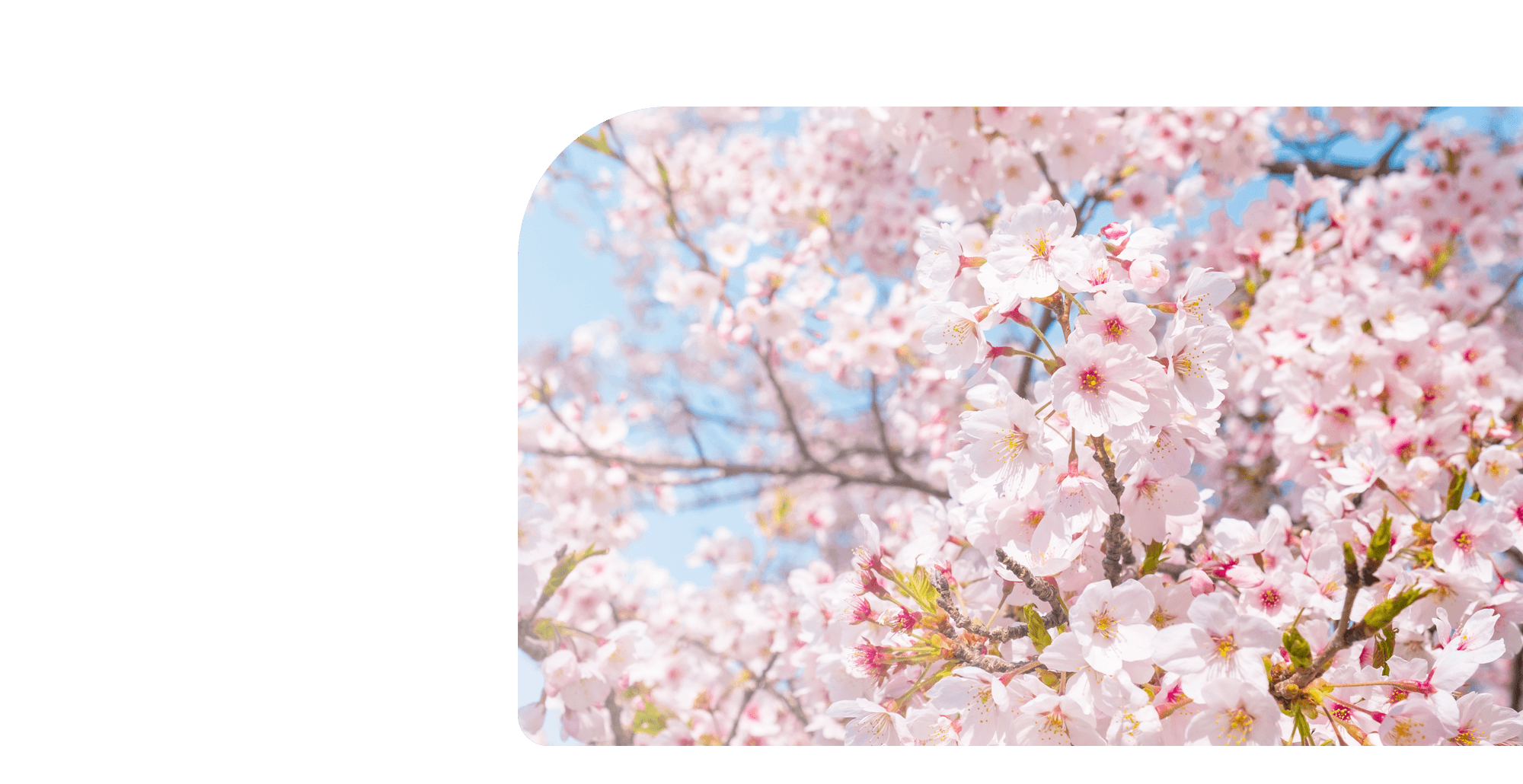 いつの時代も大切なのは「バランスがいいこと」